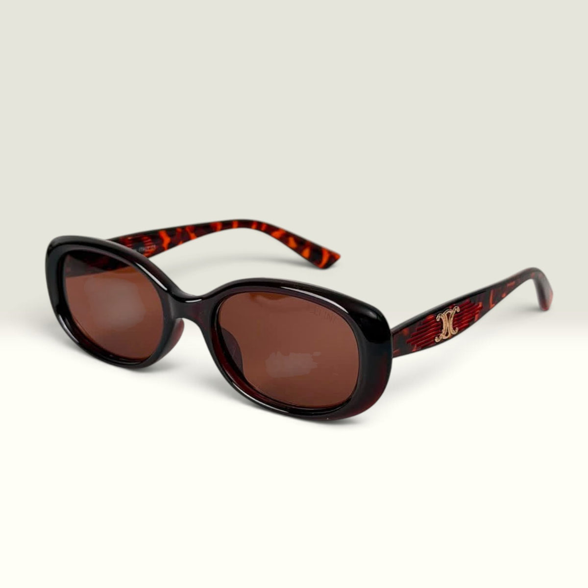 Celine Triomphe 01 Black Brown